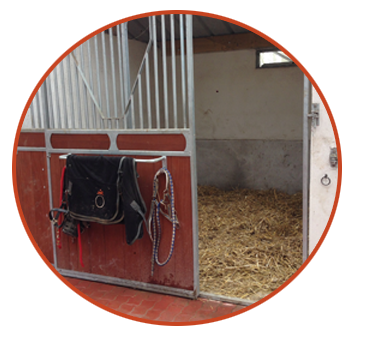 L'équipe des Ecuries du Manoir