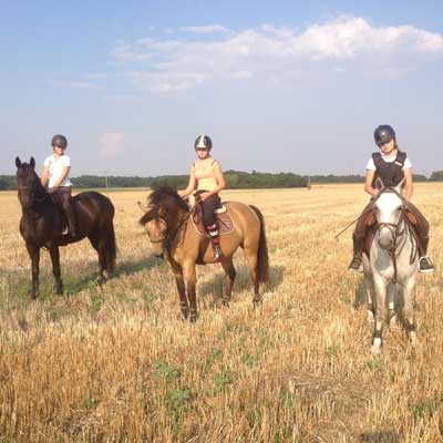 ballade à cheval en seine et marne