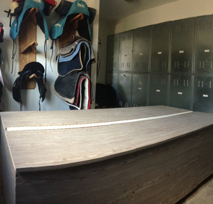 Sellerie en Seine et Marne